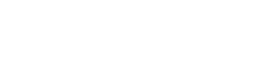 (주)피앤에스미캐닉스